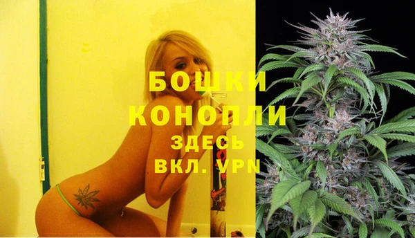 гашик Бронницы
