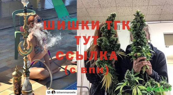 гашик Бронницы