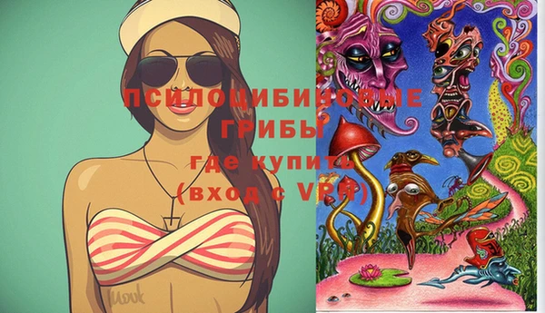 гашик Бронницы