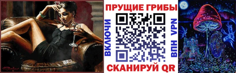 Псилоцибиновые грибы мицелий  Новохопёрск 